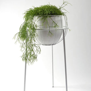 Serax Urban Jungle plant stand cage with pot white Buy now on Shopdecor